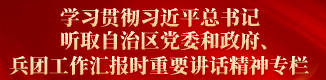 學(xué)習(xí)貫徹習(xí)近平總書記聽取自治區(qū)黨委和政府、兵團工作匯報時重要講話精神專欄
